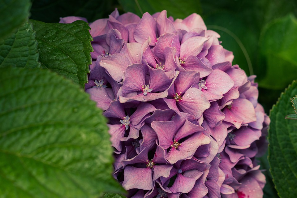 Mühlentag 2025: Entdecken Sie die Schätze historischer Mühlen!