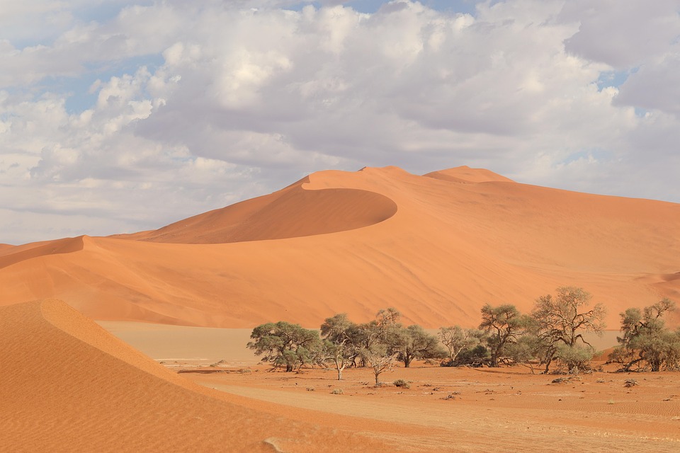 Namibia blüht auf: Ein einzigartiges Naturspektakel im grünen Paradies!