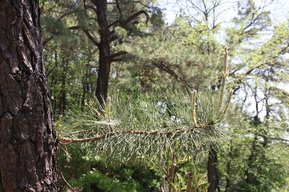 Neue Flugregeln in der Türkei: Strenge Anschnallpflicht ab sofort!