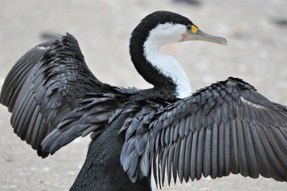 Neue Regeln in der Türkei: Hohe Bußgelder für ungeduldige Flugpassagiere!
