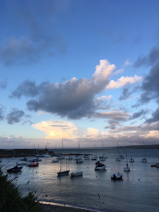 Neuer Walk of Wagner 2025: Entdecken Sie Wagners Wohnorte!