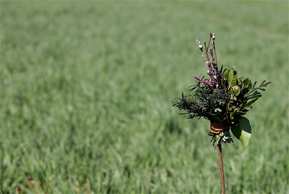 Palmas Anwohner schlagen Alarm: Partyboote ruinieren unser Paradies!