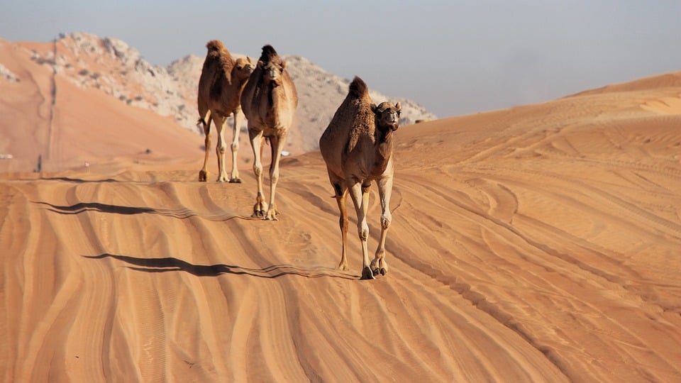 Reisechaos im Nahen Osten: Warnungen für Israel und VAE erlassen!