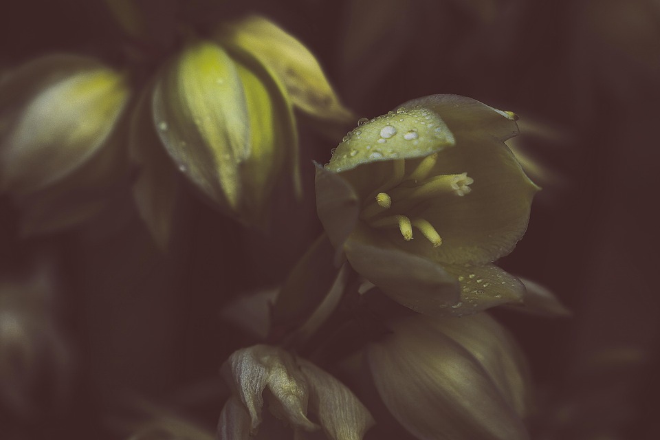 Reisewarnung! Nahost-Konflikt treibt Spritpreise in Deutschland hoch