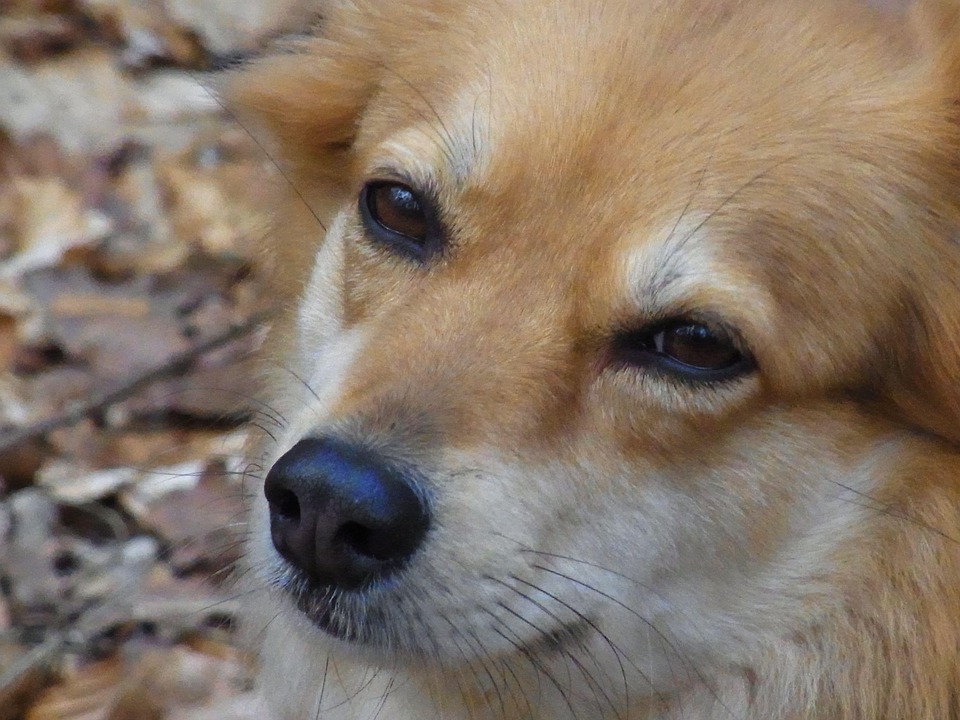 Ronja Forcher emotional: Buch über den Verlust ihrer besten Freundin!