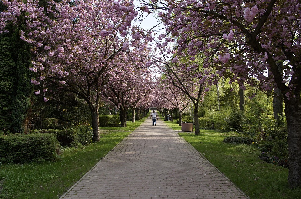 Schöneberger wünscht sich Fischer und Berg im Podcast – bleibt es bei Absagen?