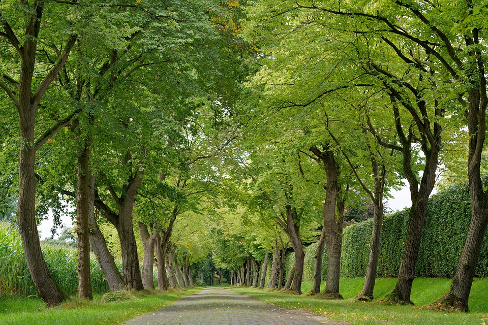 Schokoladenhotel in Westerstede: Ein Paradies für Schokoladenliebhaber!