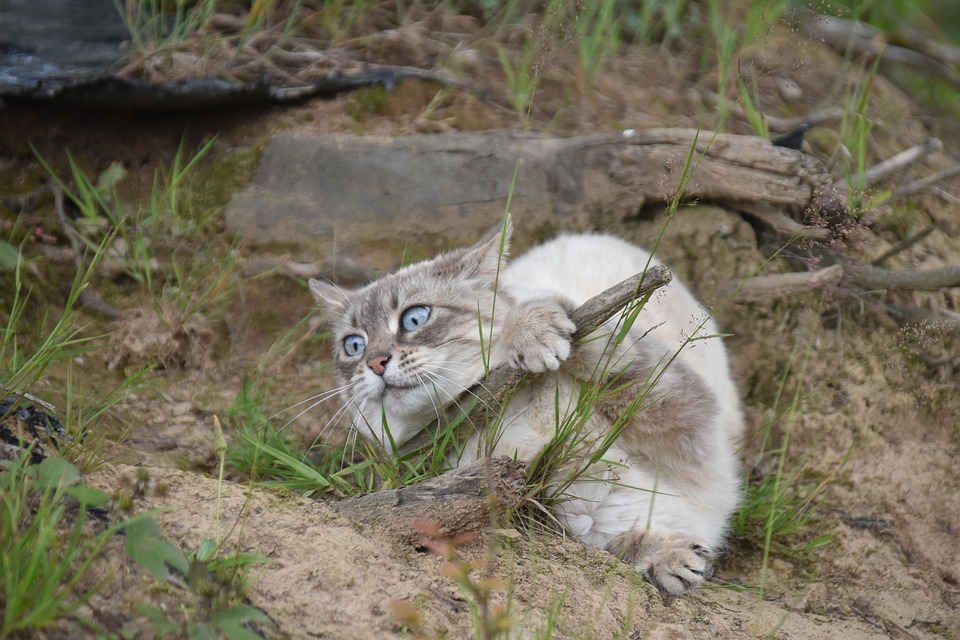Schwesig greift ein: Turbulente Zukunft für Tourismusverband MV!
