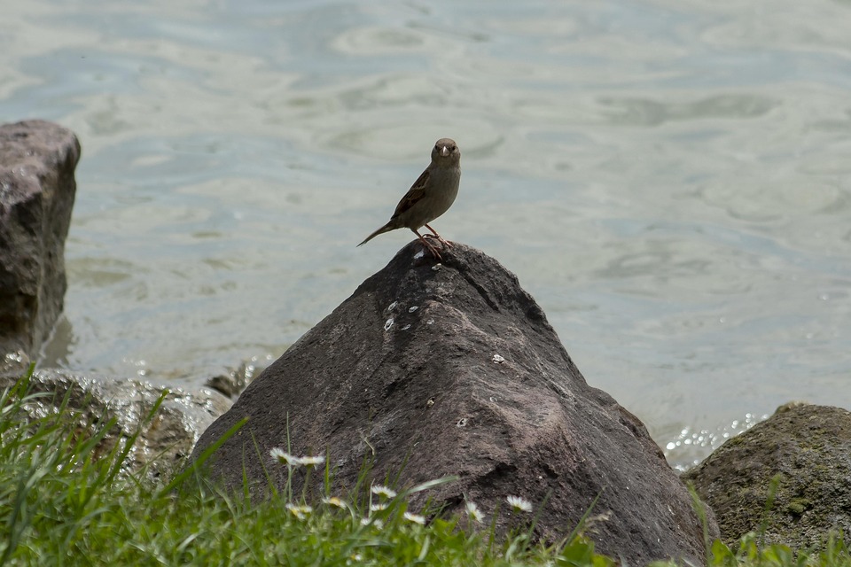 Strenge Regeln im Urlaub: So vermeiden Sie böse Überraschungen!