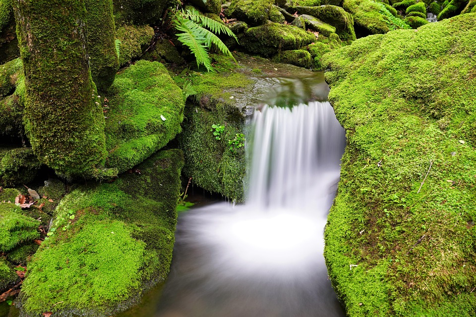 Tod auf See: So diskret gehen Kreuzfahrtschiffe mit Sterbefällen um!
