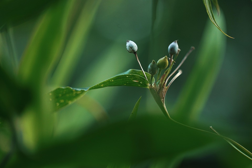 Transferkrimi: Jobe Bellingham vor Wechsel zu Borussia Dortmund!