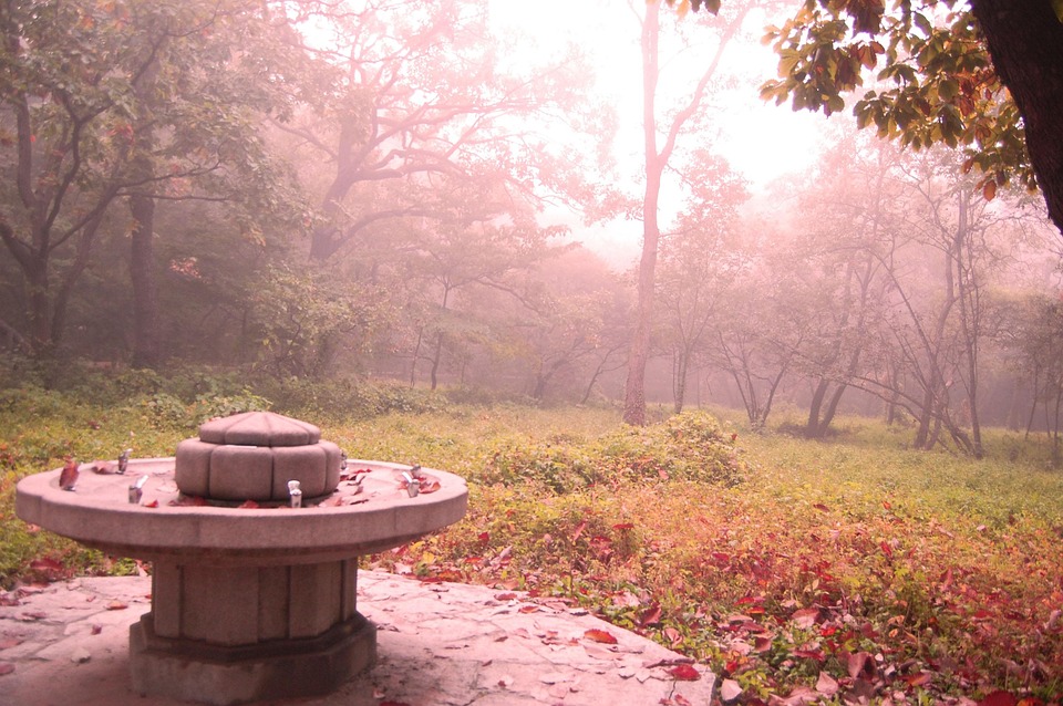 Traumhafte Sommertipps: Familienurlaub an der Atlantikküste und mehr!