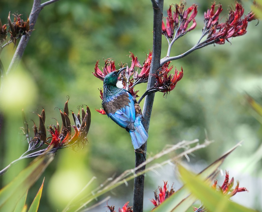 Tui erwartet Boom bei Fernreisen dank Euro-Aufwertung!