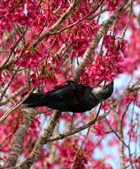 Tui setzt auf Reisebüros: Zukunft der Reisen trotz Herausforderungen!