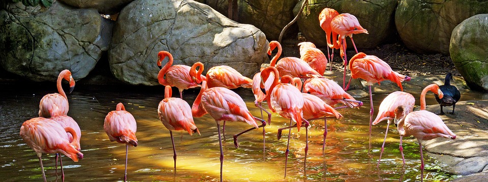 Urlaub für alle? So viele Familien in Deutschland bleiben zuhause!