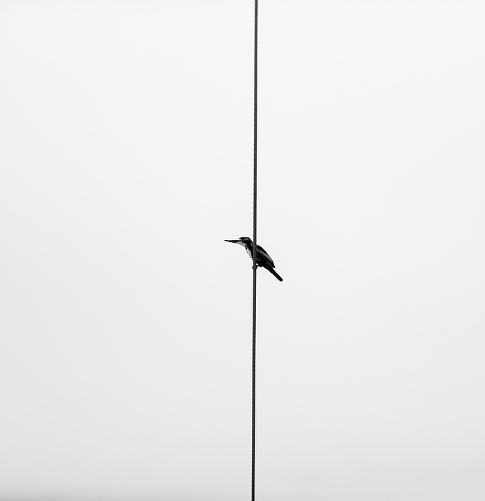 Vietnam begeistert: Europäer entdecken das geheimnisvolle Paradies!