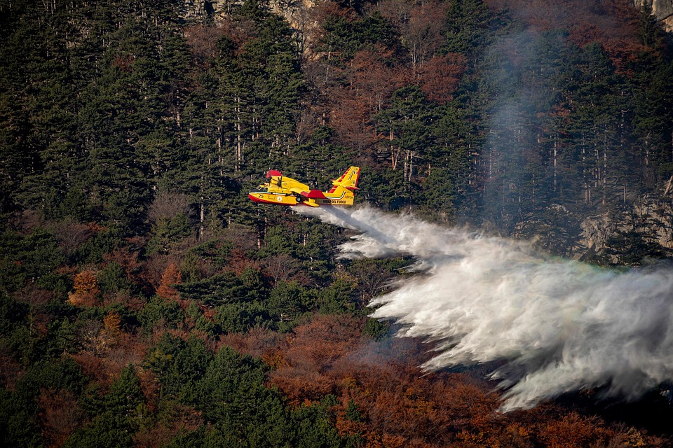 Waldbrände in Griechenland: Evakuierungen und Alarmstufe Orange!