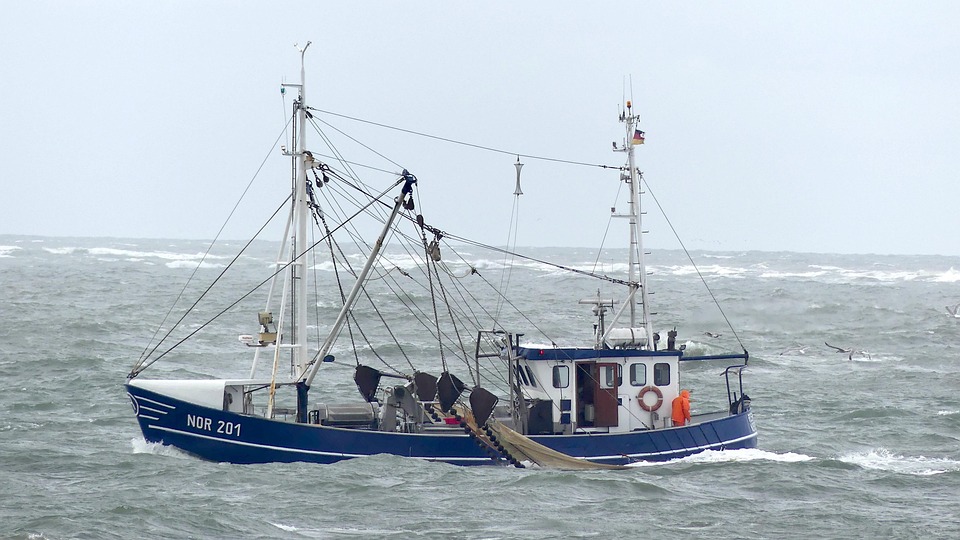 Zoff auf Norderney: E-Bikes gegen Fußgänger auf dem Zuckerpad!