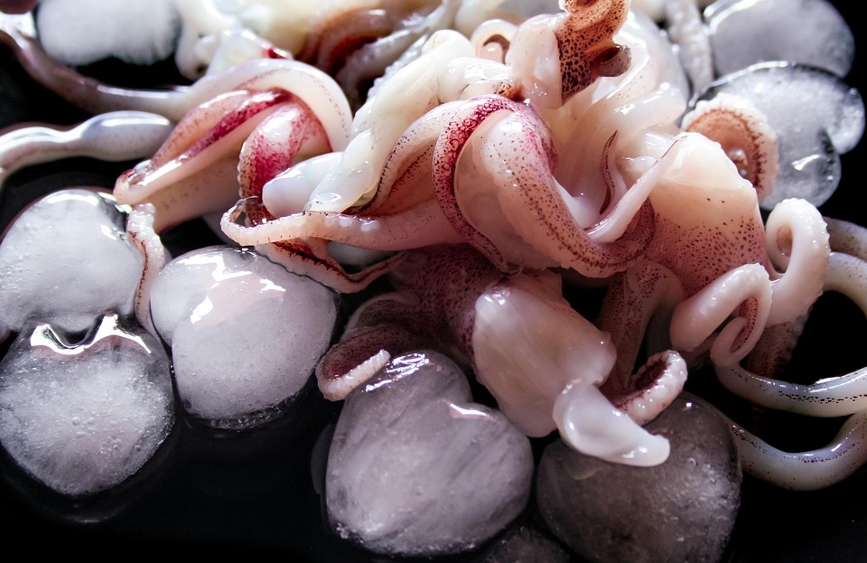 „Squid Game“ geht in die finale Runde: Kapitalismus oder Menschlichkeit?