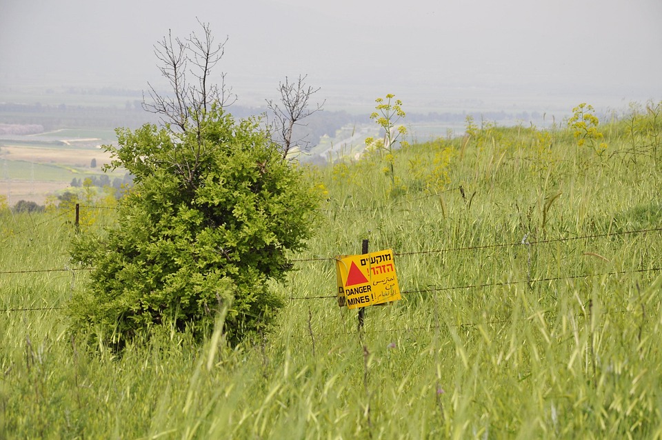 Achtung, Urlauber! Hütchenspieler plündern die Taschen an der Playa de Palma!