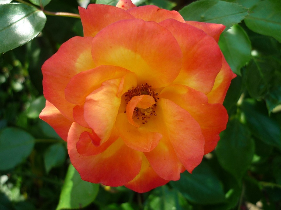 Beliebte Reiseziele: Griechische Inseln und Berge dominieren 2023!