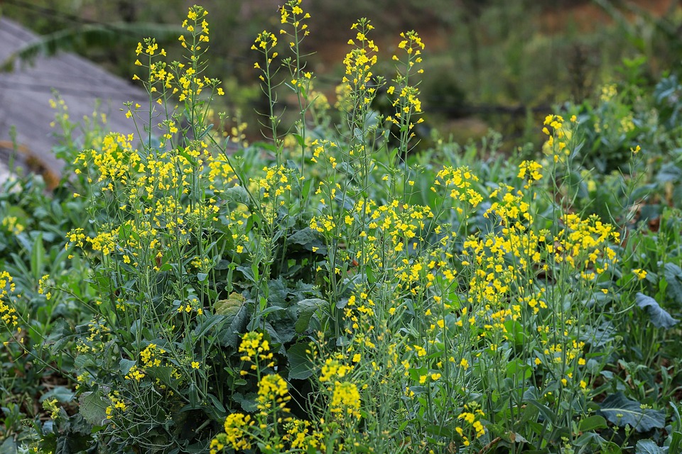 Entdecken Sie das Ozeaneum: Ein Meeresabenteuer für die ganze Familie!