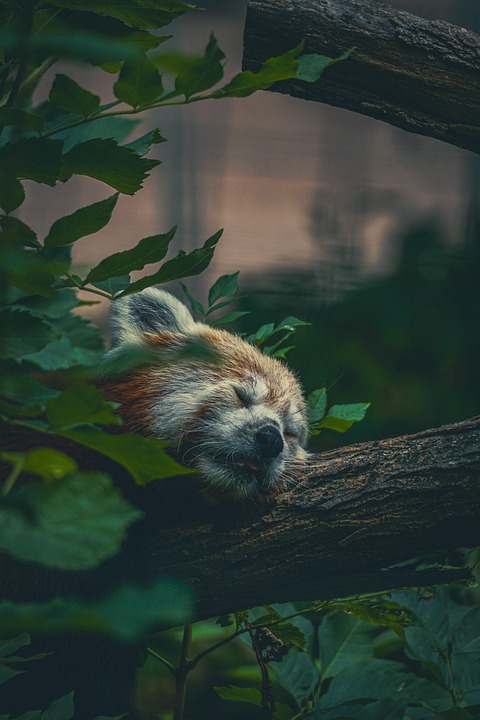 Hitzewelle in Norditalien: Asphalt schmilzt auf der A4!