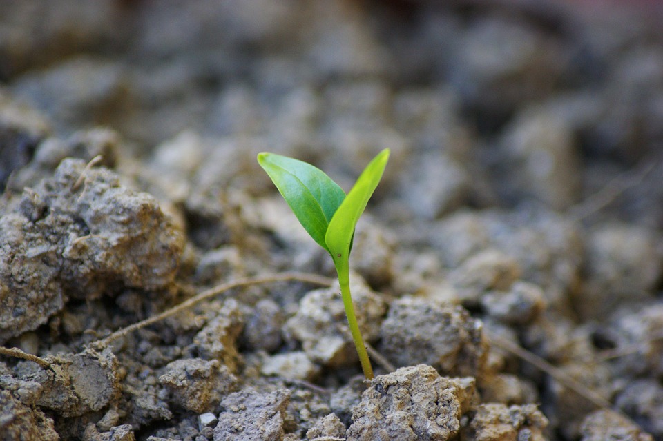 St. Peter-Ording: Aufbruch zu nachhaltigem Tourismus für die Zukunft!