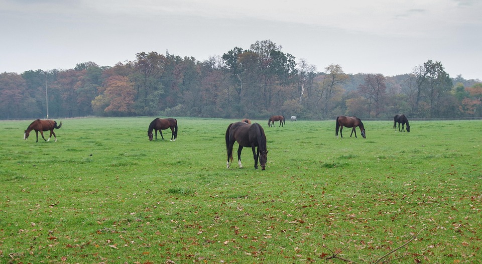 Strafen drohen: Fälschungen im Urlaub teuer bezahlen!