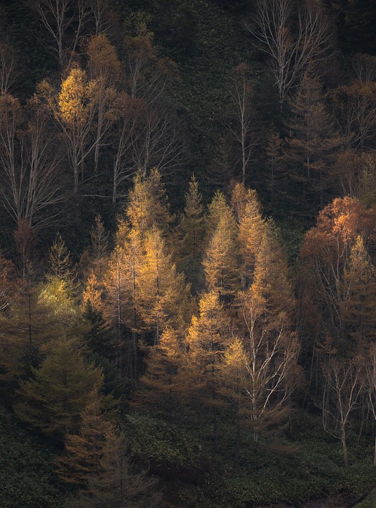 Sunrise revolutioniert den Schutz: Cyber- und Reiseversicherungen für Kunden!