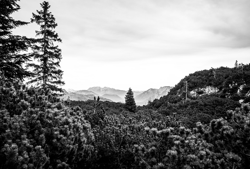 Tourismus in Hung Yen boomt: Fast 1,7 Millionen Besucher in 2025!