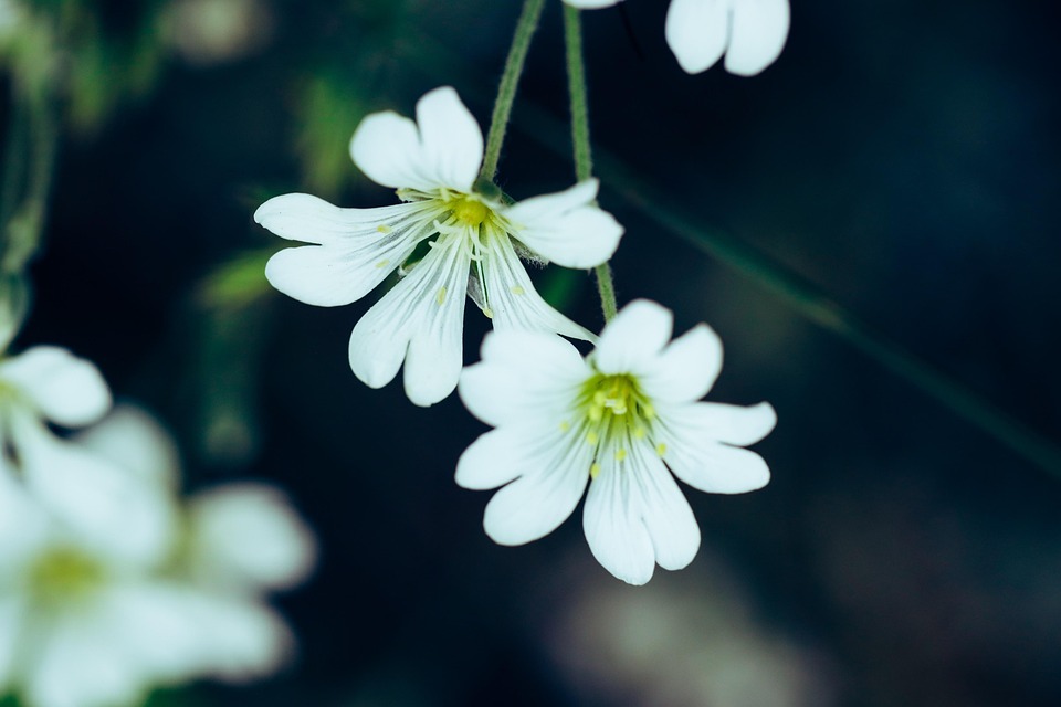Traumziele für den Sommer: Mit der Bahn entspannt nach Europa reisen!