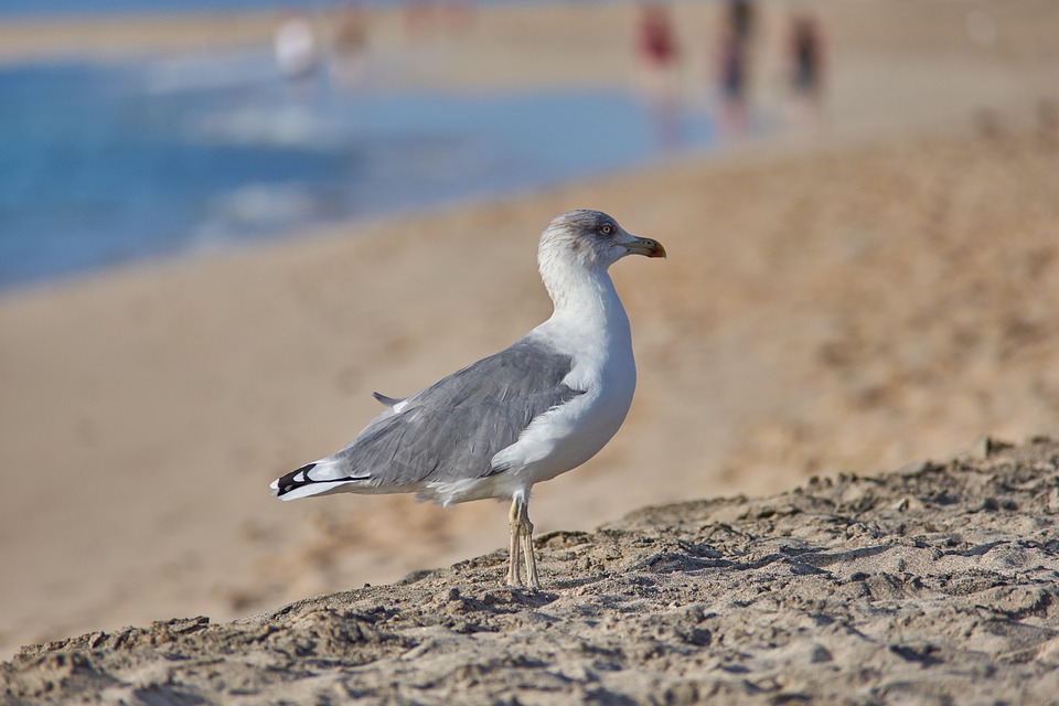 Urlauber frustriert: Kinder im „Adults Only“-Pool und Handy-Lärm!