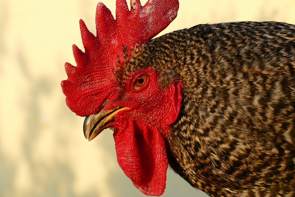 Wirtschaftliche Erholung: La Palma verbindet sich winterlich mit München!