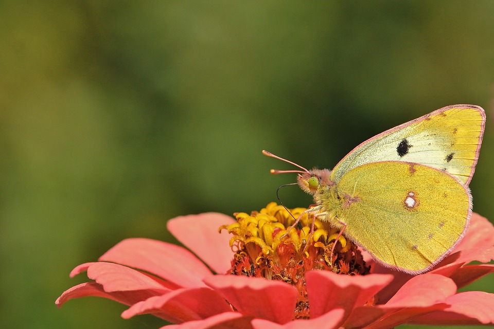 Acht Geheimtipps für Erholung zum kleinen Preis in Deutschland!