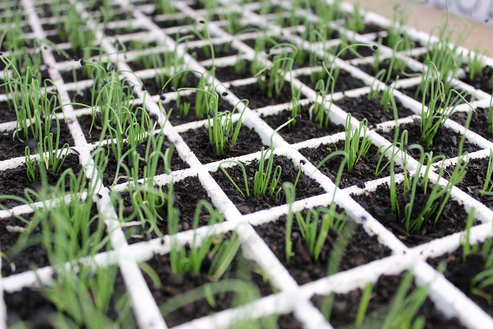 Änderungen der Einreisebestimmungen: So schützen Sie sich vor Kostenfallen!