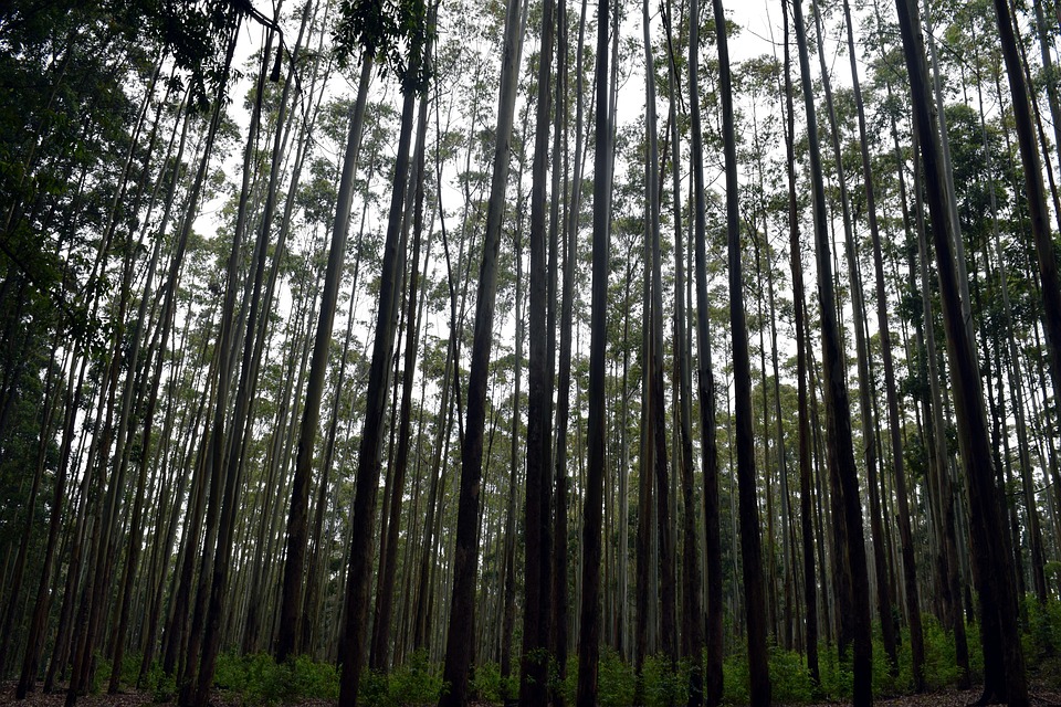Ella Seidel triumphiert in Cincinnati: Aufstieg ins Achtelfinale!