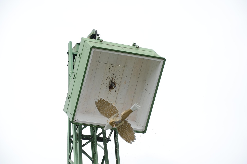 Königspaar Frederik und Mary begeistert Thisted während ihrer Kreuzfahrt
