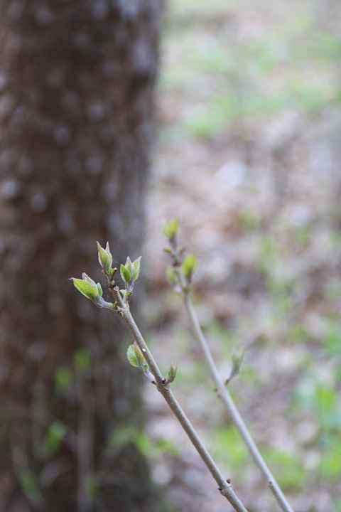 Neue Türkei-Regel: Geldstrafe für ungeduldige Flugpassagiere!