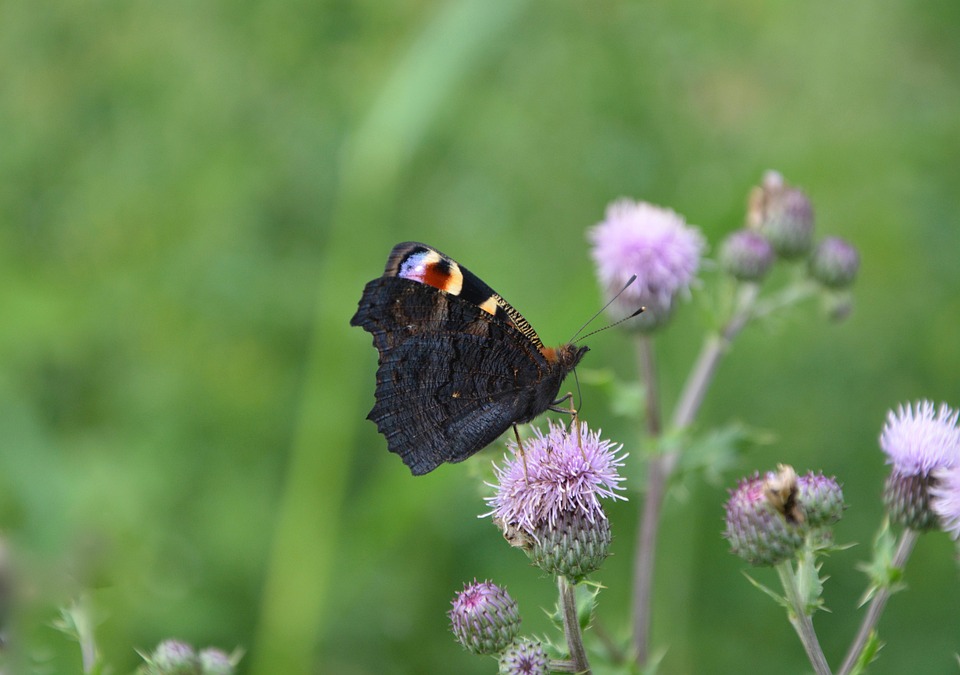 Ryanair-Streik trifft Spanien: 22 Tage Chaos für Urlauber drohen!