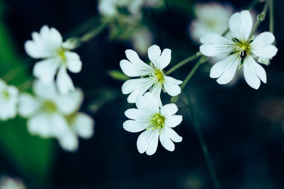 Sommer in Düsseldorf: Die besten Ausflugtipps für ein Urlaubsgefühl!
