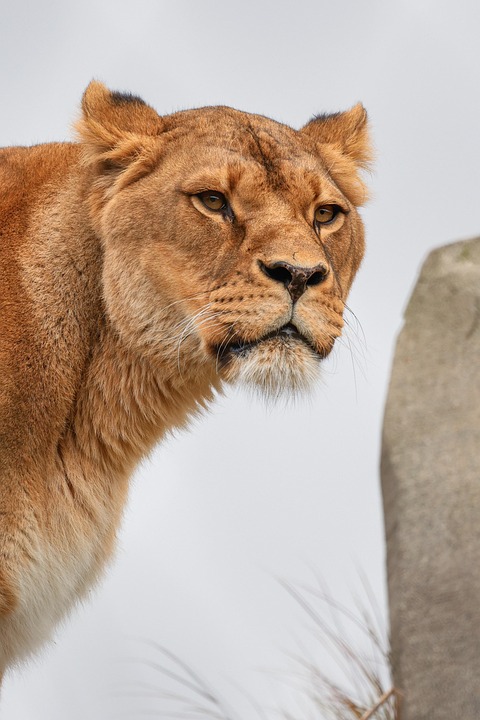 Unerbittlicher Sturm: Norditalien kämpft gegen heftige Unwetter!