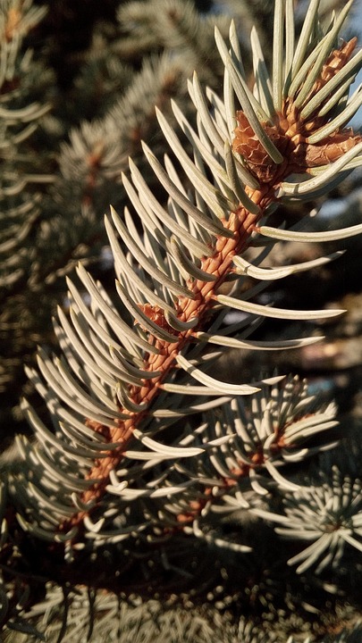 Unvergessliche Nacht in Paris: Urlaub voller Überraschungen!