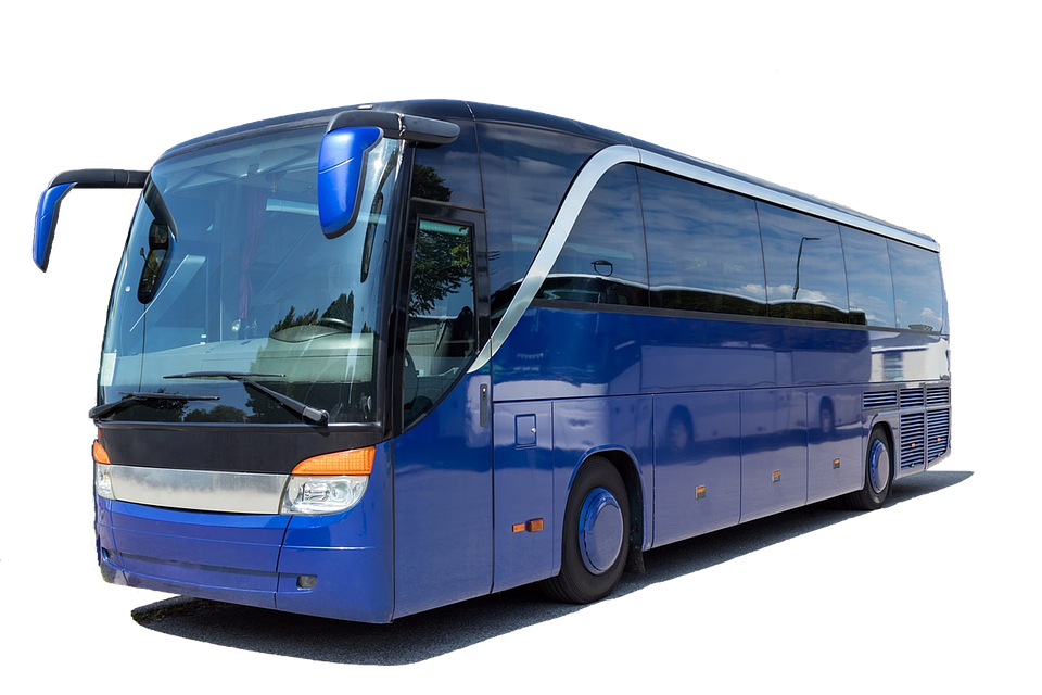 Urlaub mit Hund: Entdecken Sie die hundefreundliche Nordsee!