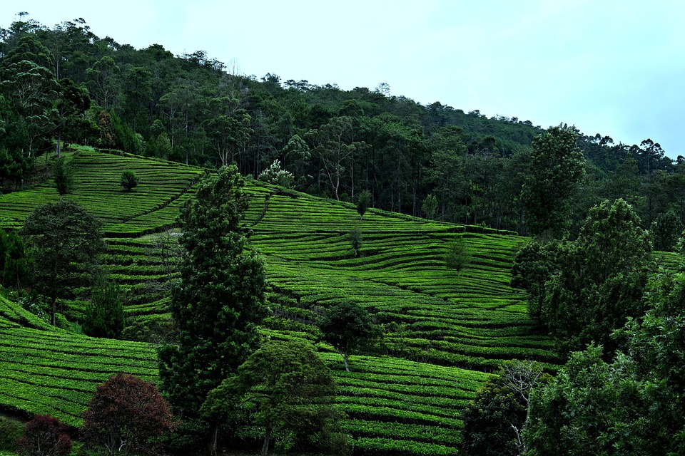 Entdecke Jordanien: 4 Nächte im Luxus für nur 296 €!