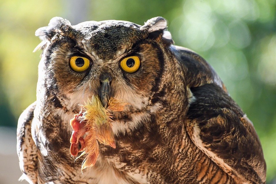 Großherzog Henri absolviert letzte Auslandsreise vor Abdankung!
