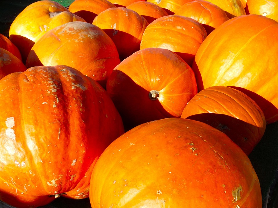 Herbstfest im Ledigenheim Lohberg: Ein Feierlicher Jahresabschluss!