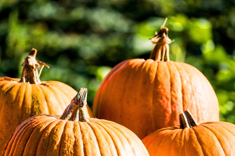 Herbstliches Surfvergnügen: Entdecke die Algarve und Madeiras Geheimnisse!