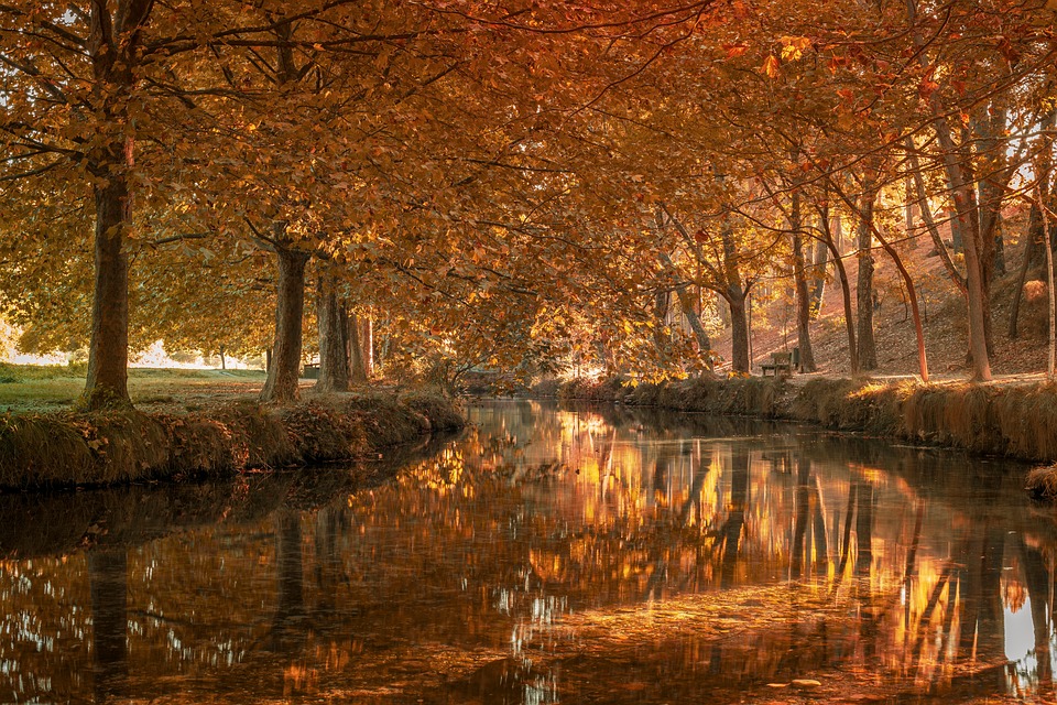 Las Vegas neu entdeckt: Kulinarik statt Glücksspiel – Ein unvergesslicher Trip!