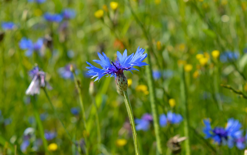 MS Deutschland schließt Kreuzfahrtsaison 2025 – Nächster Halt: Weltreise!
